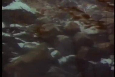 Kaya kayması ormana yuvarlanıyor