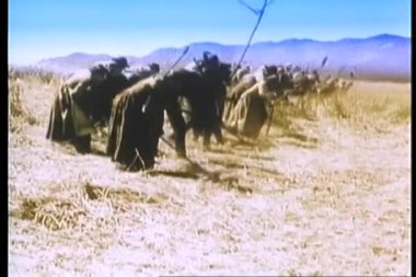 Bir grup çiftçi mısır tarlasında çekirgeleri kürekle dövüyorlar.