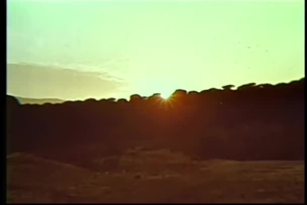 自然の背景に日の出の広い角度ビュー — ストック動画