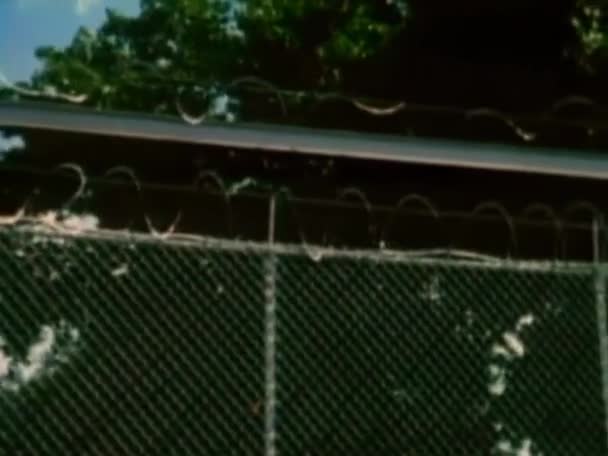 Ochranka Hlídacími Psy Nápravném Zařízení Roku 1980 — Stock video