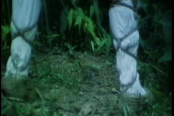 森で排尿する男性のリアビュー ヴィンテージ映像 — ストック動画