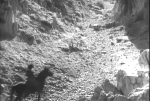 Men Horseback Traveling Canyon Pack Mules 1940S — Stock Video