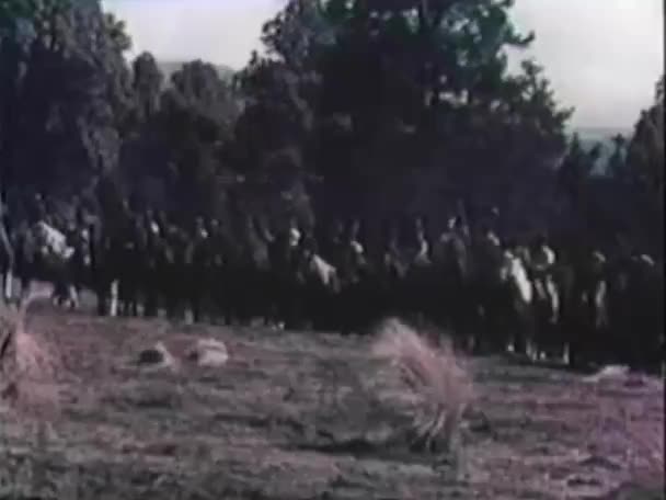 Cavalo Renegado Galopando Através Campo Batalha — Vídeo de Stock