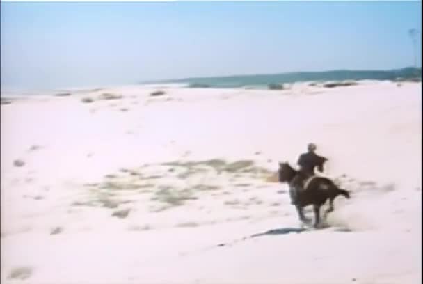 Homem Galopando Cavalo Toda Praia 1960 — Vídeo de Stock