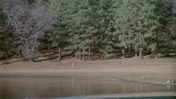 Largo Tiro Hombre Persiguiendo Chico Los Bosques Por Lago 1980 — Vídeo de stock