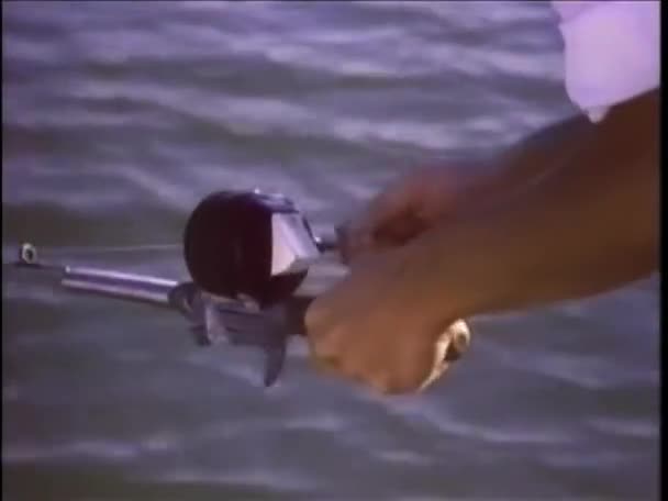 Fiskare Fiskodling 1980 Tal — Stockvideo