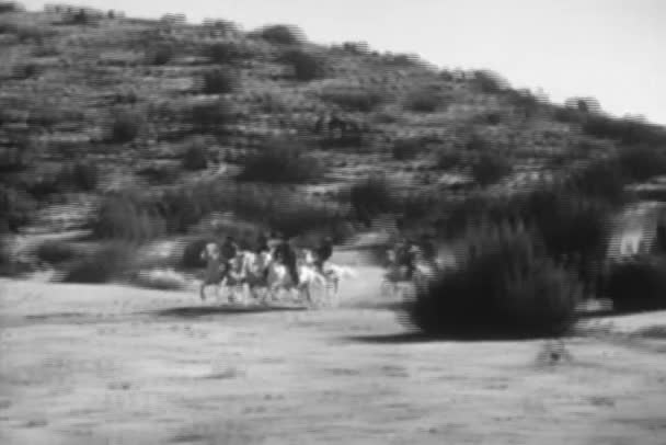 Groupe Hommes Chevauchant Des Chevaux Blancs Dans Prairie Années 1930 — Video