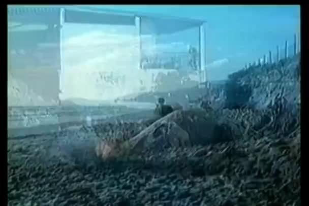 Bomber Exploderar Stranden Eldstrid — Stockvideo