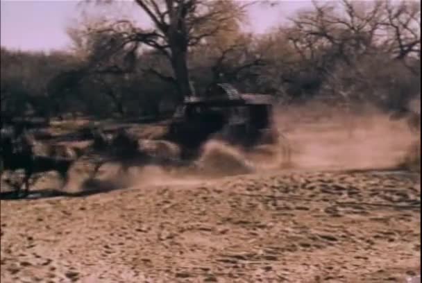 Reconstituirea Indienilor Americani Care Atacă Stagecoach — Videoclip de stoc