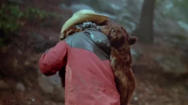 Hombre Oso Juegan Bosque 1980 — Vídeo de stock