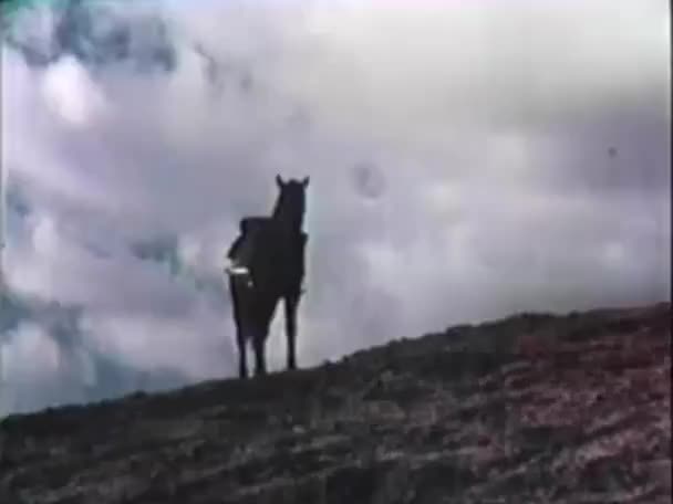 Blick Auf Das Pferd Das Oben Auf Dem Hügel Den — Stockvideo