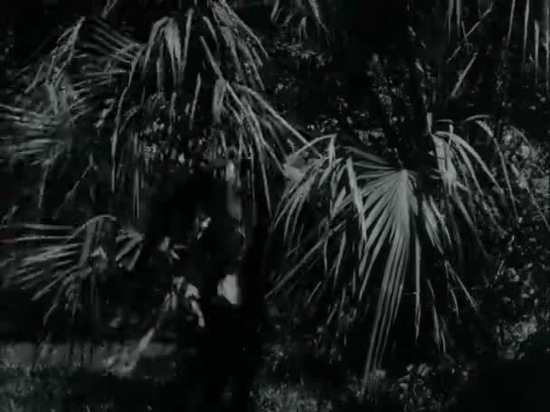 Zombik Séta Dzsungel Éjszakai 1970 Években — Stock videók