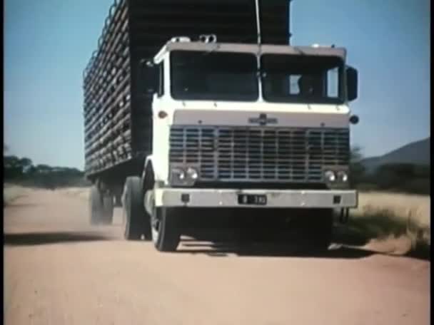 汚れた道に移動する巨大なトラック — ストック動画