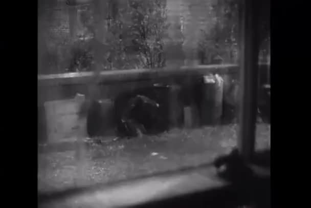 View Window Heavy Rain Window Rain 1941 Usa Penny Sarinade — Stock Video