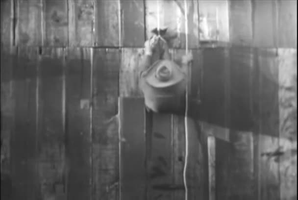 Cowboy Climbing Side Barn Rope 1930S — Stock Video