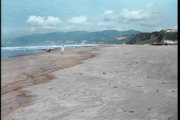 Man Running Beach — Stock Video