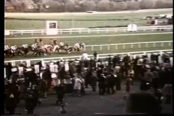 Multidão Assistindo Corrida Cavalos — Vídeo de Stock