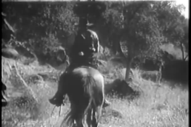 男子组与受伤的人骑马的后视图 — 图库视频影像