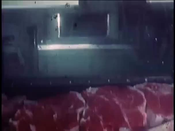 1970 고기를 냉장고 정육점 — 비디오