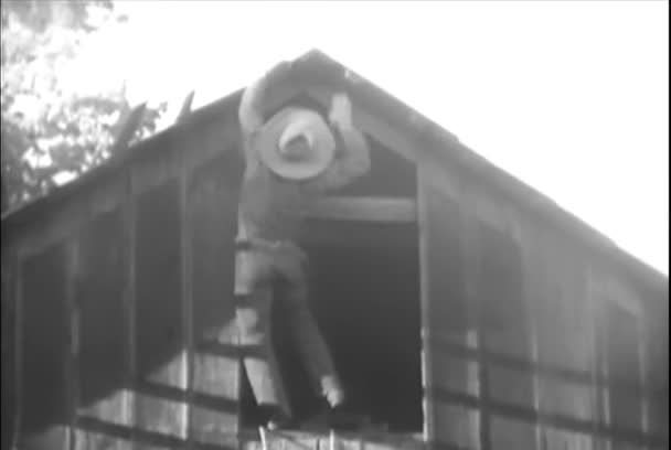 Ковбой Перелезает Окна Крышу Сарая 1930 Годы — стоковое видео