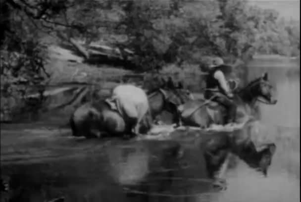 Packhorse 试图挣脱河中的人 二十世纪三十年代 — 图库视频影像
