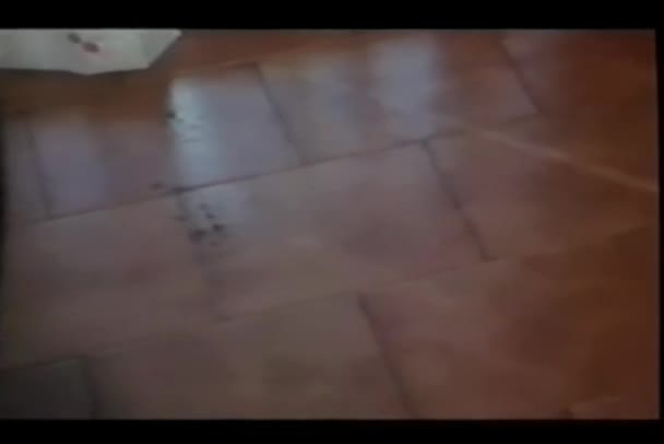 Panning Pavimento Piastrellato Con Impronte Fango — Video Stock