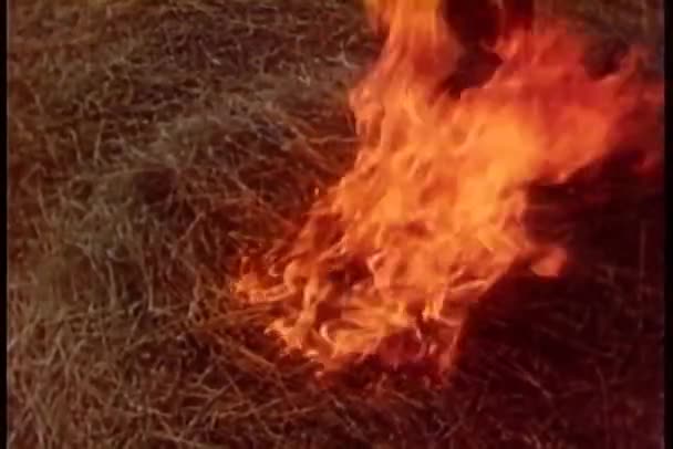 Крупным Пламенным Стогом Сена — стоковое видео