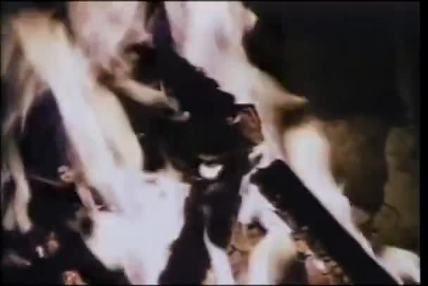 暖炉で燃えているクローズ アップのログ — ストック動画