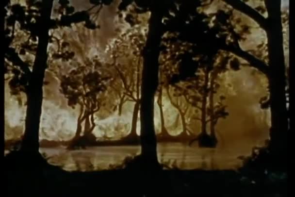 背景下森林大火的全景 — 图库视频影像