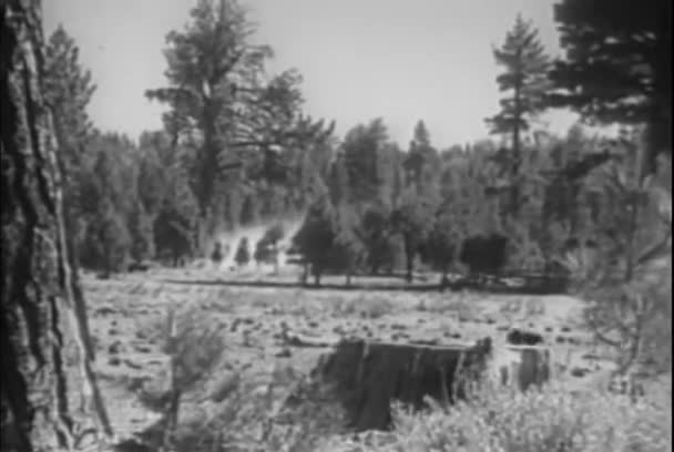 Hosszú Lövés Emberek Vágtató Lóháton Country Road 1930 Években — Stock videók