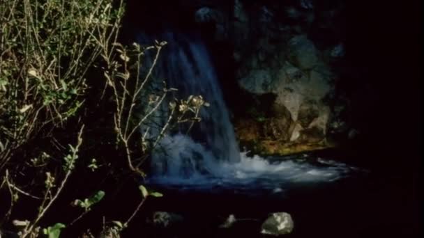 Panning Tiro Cachoeira Fluxo Fundo Natureza — Vídeo de Stock