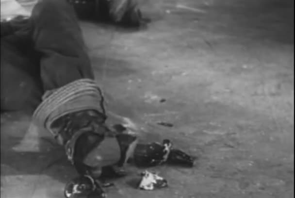 Svázaný Kovboj Pomocí Rozbil Láhev Zpět Lana Roce 1930 — Stock video