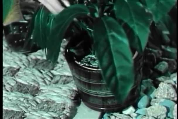 Femme Récupérant Clé Cachée Sous Plante Pot — Video