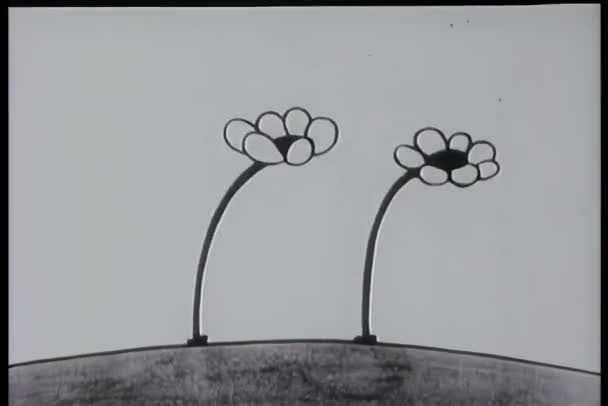 Weitschuss Hüpfende Blumen — Stockvideo