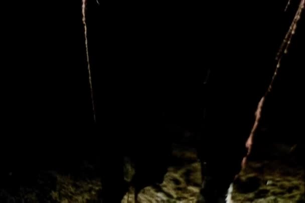 Крупним Планом Людина Відсутньою Кровотечею Ноги Траві — стокове відео