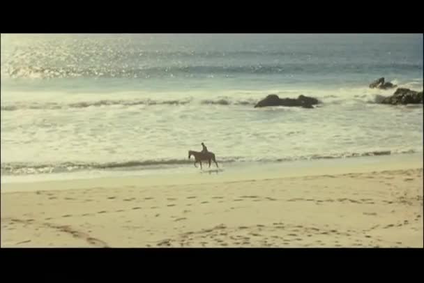 Широкий Выстрел Человек Верховая Езда Пляже — стоковое видео