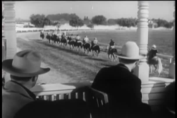 Widzów Stoisku Oglądania Początku Wyścigów Konnych — Wideo stockowe