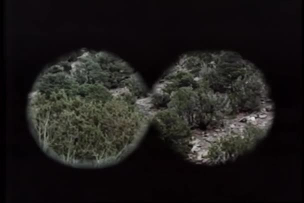 Punto Vista Desde Binoculares Que Buscan Ladera Montaña — Vídeo de stock