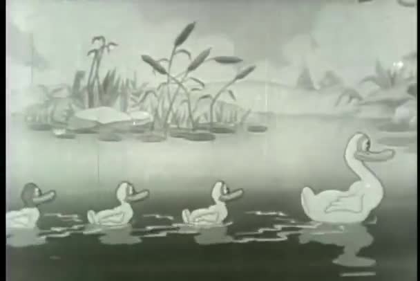 Широкий Знімок Сім Качок Плаває Ставку — стокове відео
