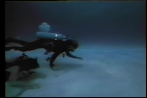 Dykare Utforskar Sealife — Stockvideo