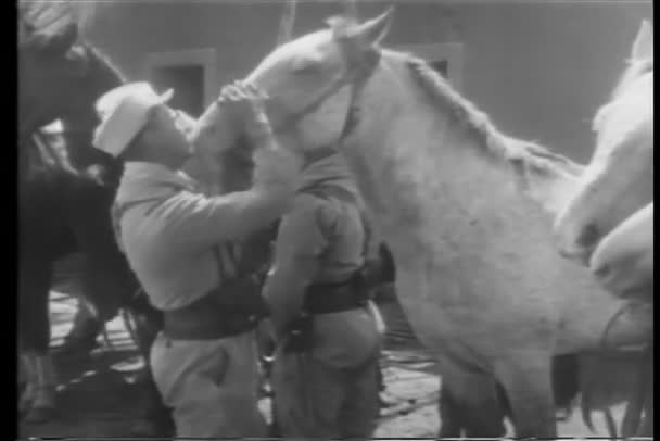 Πλάνα Στρατιωτών Που Χαϊδεύουν Άλογα — Αρχείο Βίντεο