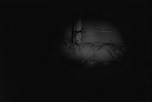 Pochodeň Svítí Rozpadající Tělo Rakvi Suterénu 1940S — Stock video