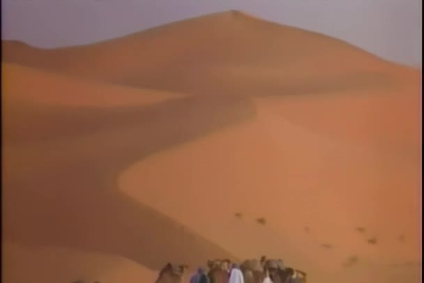 Caravana Viajando Por Desierto — Vídeos de Stock