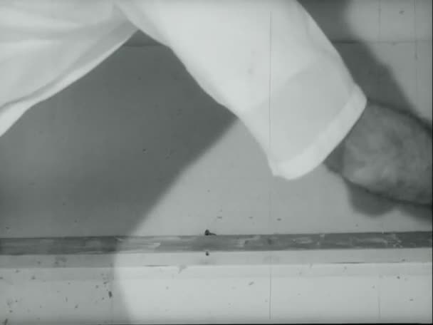 フックを使用して 1970 年代のコンパートメントからコブラを削除するハンドラー — ストック動画