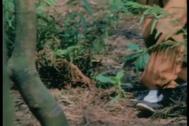 森の中を忍び歩く人々 のミディアム ショット — ストック動画