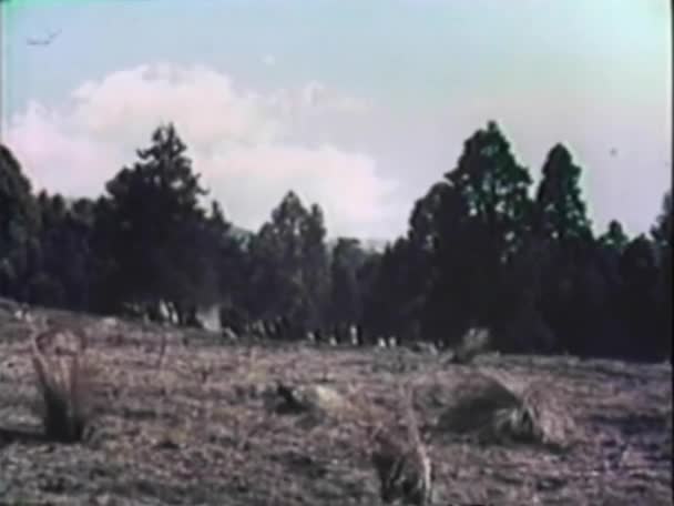 宽镜头的列队在战场上的美国印第安人 — 图库视频影像