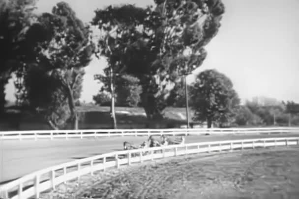Vintage Wieku Materiał Filmowy Wyścig Uprzęży — Wideo stockowe