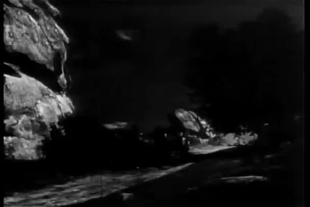 马和马车疾驰的通过山 — 图库视频影像