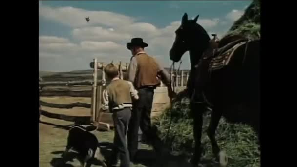 Homem Menino Cavalo Cão Caminhando Direção Rancho 1950 — Vídeo de Stock