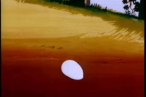 轧制鸭卵孵化 — 图库视频影像